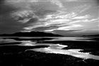 dailyPhoto40